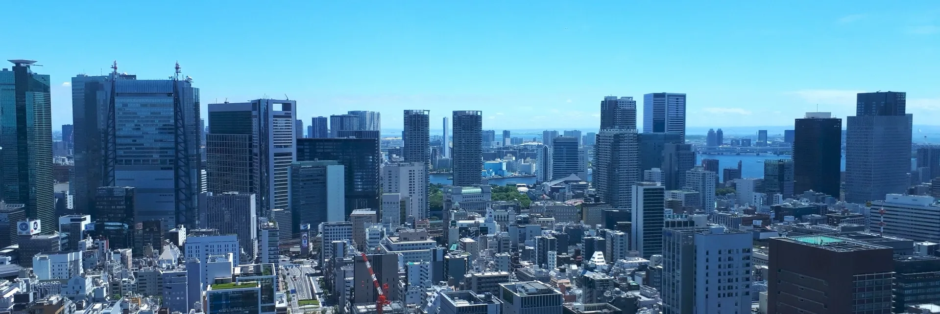 完全成果報酬型の営業